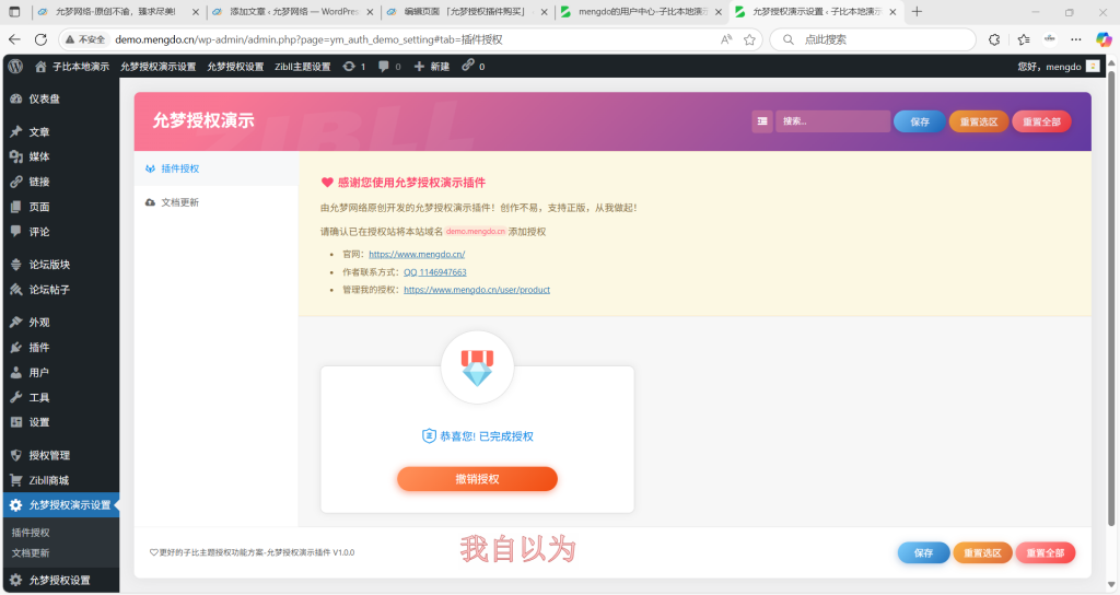 图片[3]-允梦授权插件零基础配置教程-允梦网络